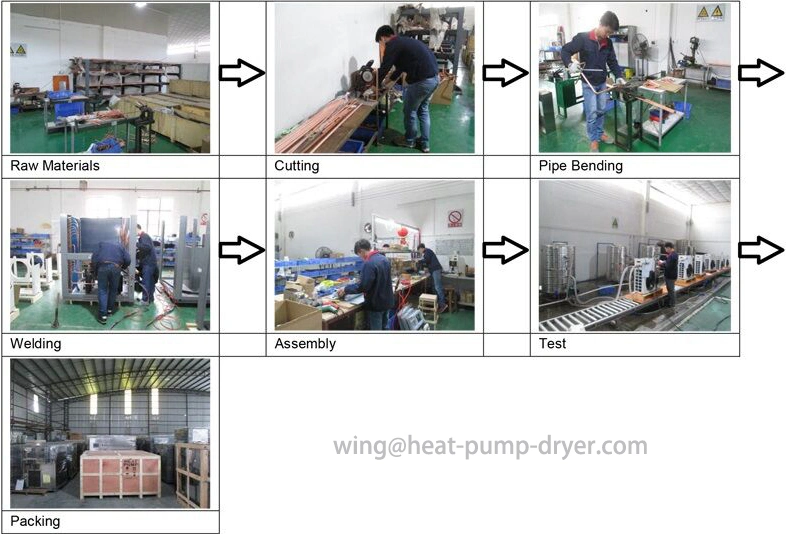 Hot Air Circulating Mango Dehydrator Machine, Dried Fruit Processing Machine