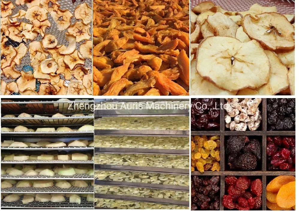 Gas and Electric Model Drying Euipemnt Dried Flowers and Plant Mango Fruit Dehydrator Machine