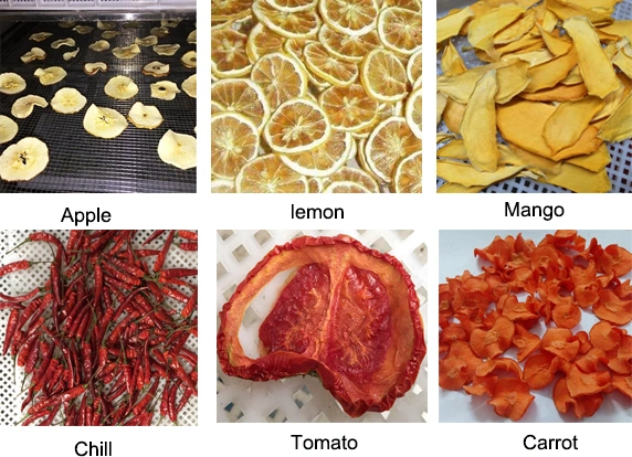 Hot Air Circulating Mango Dehydrator Machine, Dried Fruit Processing Machine