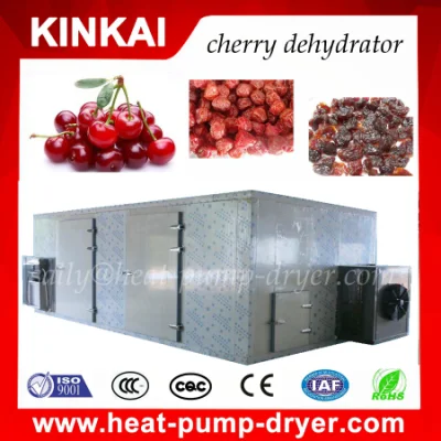 Hot Air Circulating Mango Dehydrator Machine, Dried Fruit Processing Machine